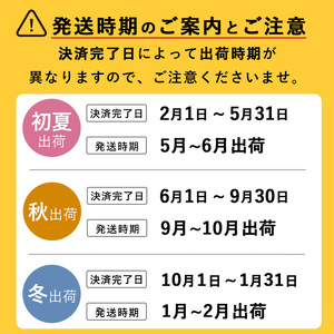 【期間限定・数量限定】鹿児島県志布志産 摘果メロン(子メロン・小メロン) 2kg a0-330