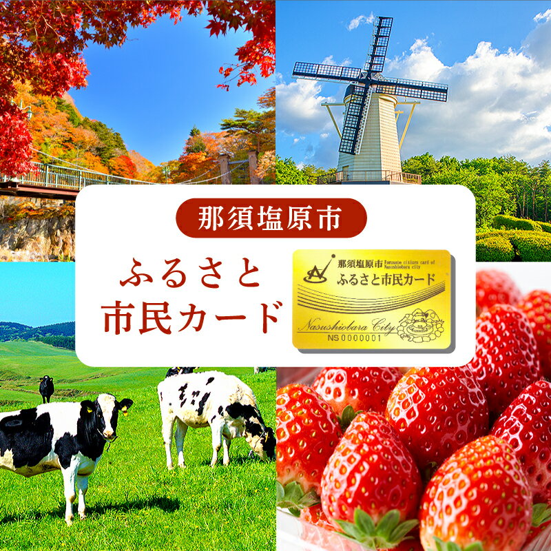 【ふるさと納税】那須塩原市 ふるさと市民カード 栃木県 那須塩原市 優待 特典 観光 土産店 宿泊施設 食事処 レジャー施設 サービス クーポン 割引 チケット 送料無料