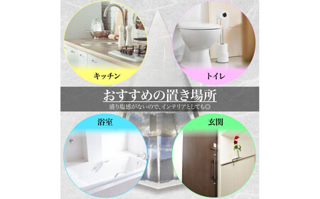 クリスタル盛り塩　＜カラー：クリア＞