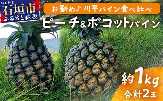 【先行予約】ピーチ＆ポコットパイン食べ比べ 1ｋｇ（計２玉）お勧め♪川平パイン《2026年5月～10月頃順次発送》KN-5