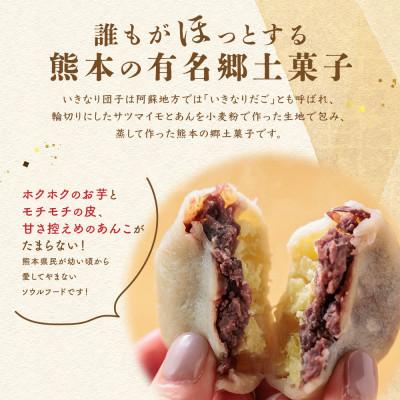 ふるさと納税 阿蘇市 熊本郷土スイーツ「いきなりだんご」食べ比べセット |  | 01