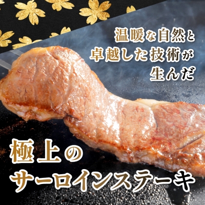 【鹿児島県産】4等級以上黒毛和牛 サーロインステーキ 360g(180g×2)(枕崎市)A8−109【配送不可地域：離島】【1616199】