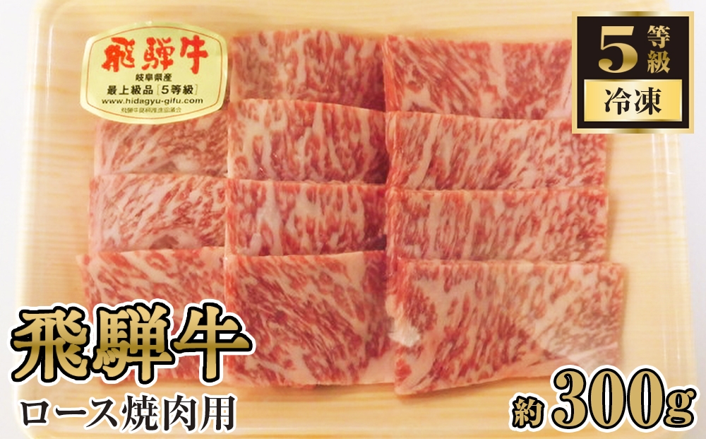 
                  飛騨牛ロース焼肉用 約300g（5等級/冷凍） [No.214] ／ ブランド牛 牛肉 BBQ 岐阜県 特産品
                