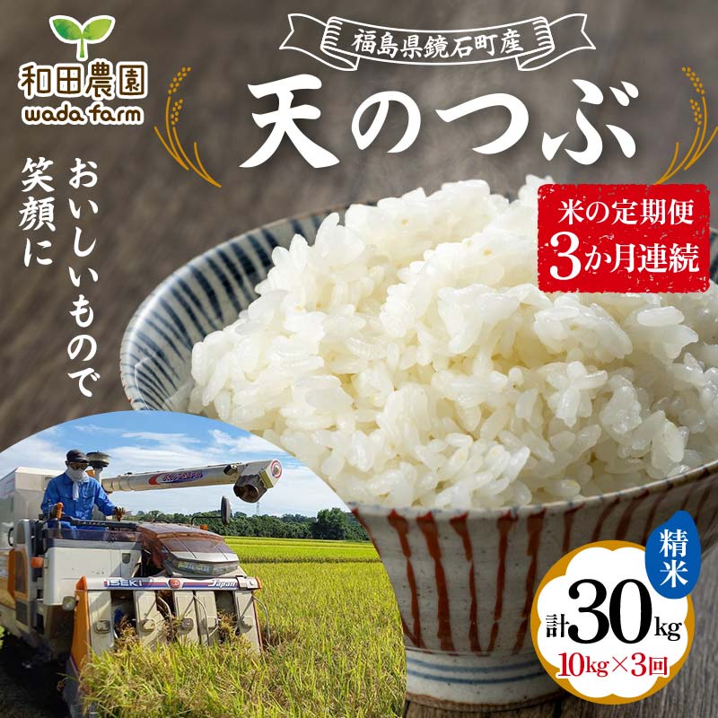 〈先行予約 2025年産米〉【米の定期便】福島県鏡石町産 和田農園「天のつぶ」精米 10kg 3か月連続 米 コメ こめ  F6Q-197