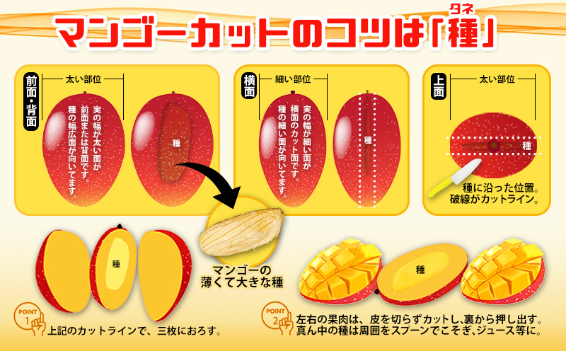 2024年発送　道の駅許田の秀品アップルマンゴー【約1Kg】