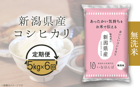 27-M56D【無洗米】新潟県産コシヒカリ5kg【6ヶ月連続お届け】