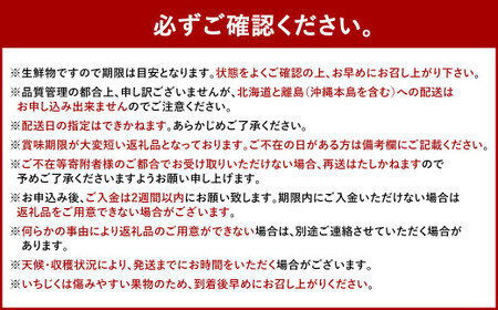 【4回定期便】福岡県 ブランドフルーツ 定期便 あまおう（約280g×4パック）とよみつひめ（約300g×4パック）早味かん（約3kg）秋王（約1.2kg）計6.52kg 果物 いちご 苺 イチゴ 無