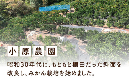 みかん みはや5kg みかん[XCE005]