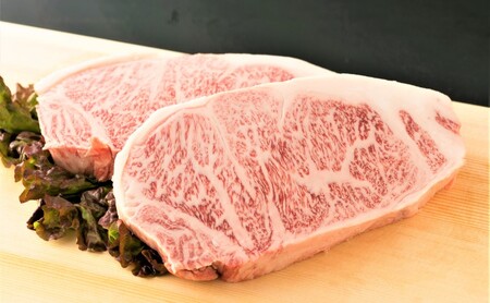 牛肉 A4〜A5 くまもと 黒毛和牛 サーロイン ステーキ 牛肉【500g(250g×2枚)】