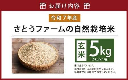 【令和7年産】さとうファームの自然栽培米（玄米5kg）ふっくら つやつや おいしい 美味しい 贈り物 単一原料米