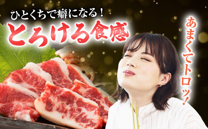 【6回定期便】 【数量限定】霜降り馬刺し スライス 約200ｇ【山鹿食品企画】 [ZBO067]