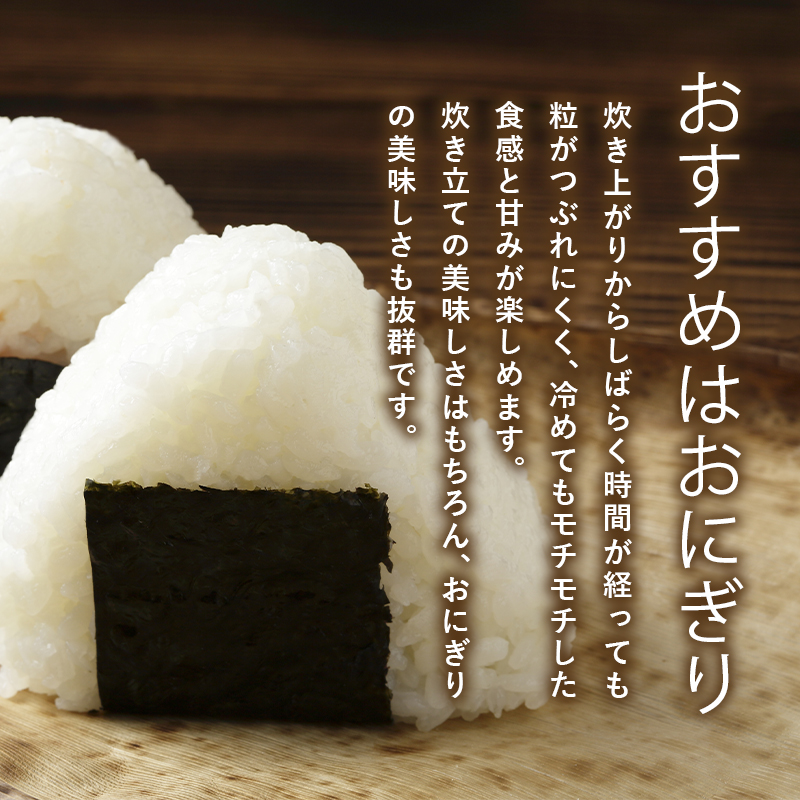 令和6年産 青天の霹靂5kg