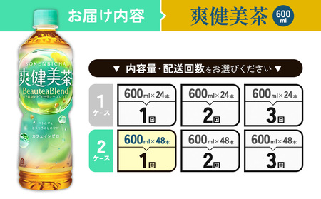 爽健美茶 600ml PET【コカ・コーラ】ペットボトル 2ケース(48本) 定期便 セット お茶 カフェインゼロ ノンカフェイン ハトムギ ブレンド茶 宮崎県 えびの市 送料無料