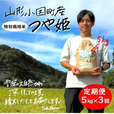 【ふるさと納税】【毎月定期便】山形県小国町産つや姫(精米)　5kg　（有）東部開発全3回【4079122】