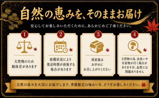 【2027年発送先行予約】松茸 国産松茸 500g 天然松茸 国産天然松茸 岩手県産松茸 岩手町産松茸 まつたけ マツタケ 天然まつたけ 国産まつたけ 「先行予約」 国産 天然 きのこ 秋の味覚 旬 