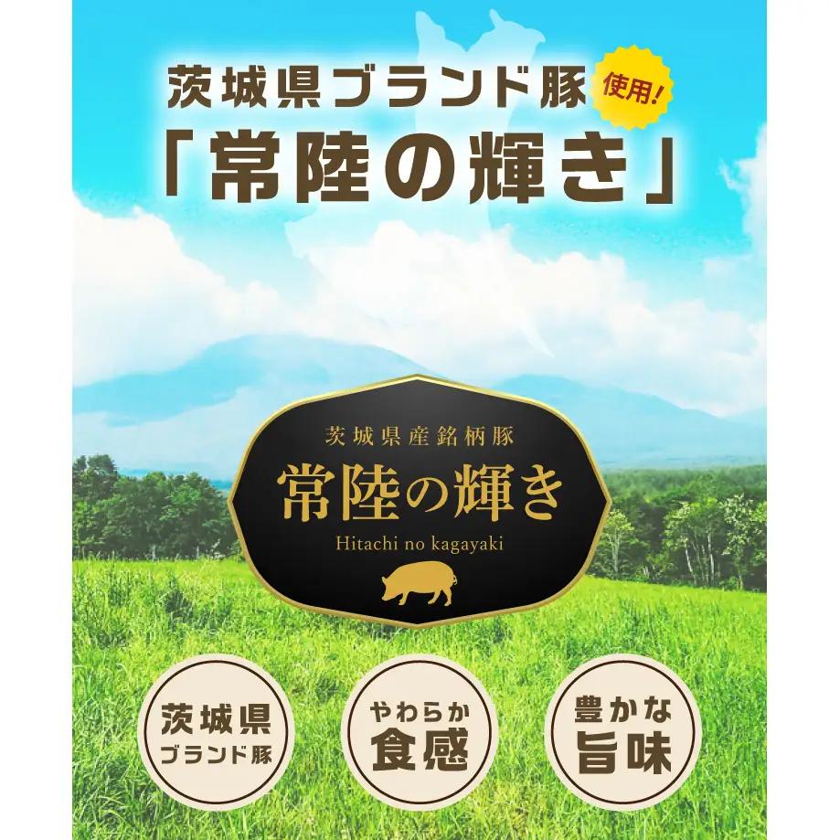 常陸の輝き バラエティ 9品 ( ハム ベーコン ソーセージ ) 【贈答用(熨斗対応可)】豚肉 お取り寄せ グルメ 人気 冷蔵 詰め合わせ ギフト おかず ご当地グルメ ディナー 食べ比べ パーティー
