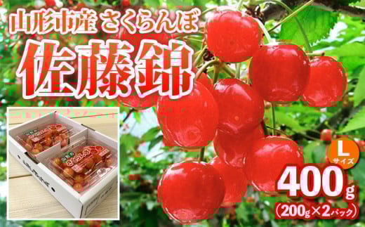 山形市産さくらんぼ【佐藤錦】Lサイズ 400g(200g×2パック) 【令和8年産先行予約】FS25-035