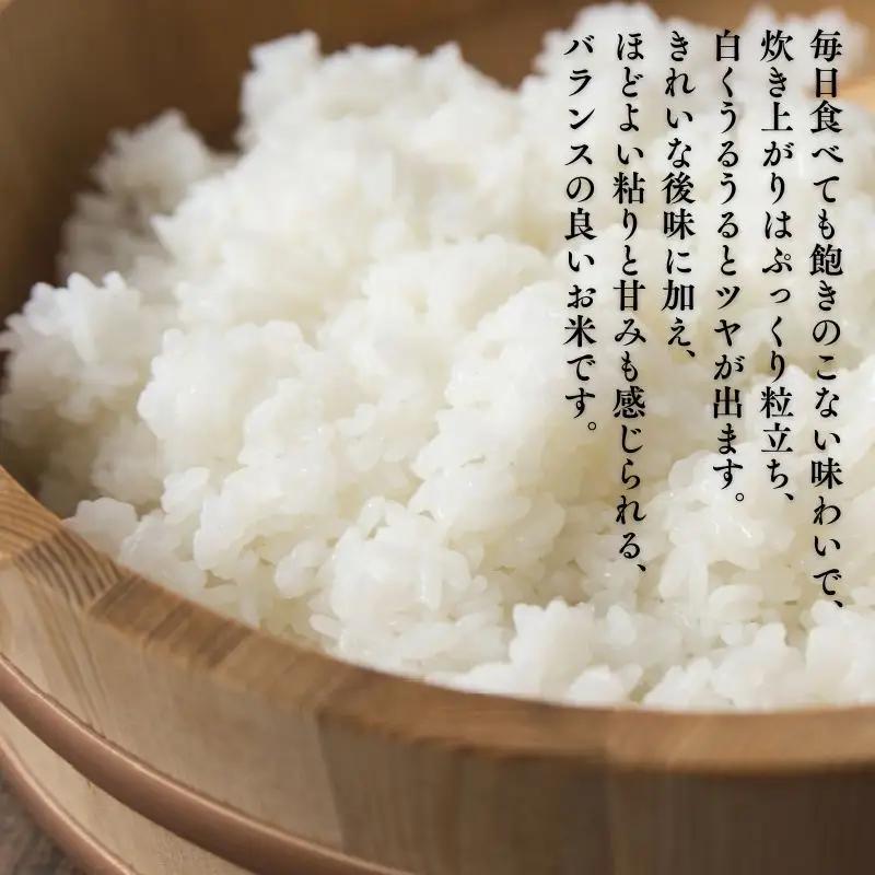 【令和8年産米】まっしぐら 玄米10kg [fu-0024-003]