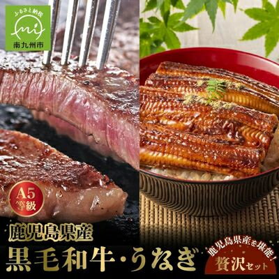 【ふるさと納税】鹿児島県産黒毛和牛A5等級サーロイン4枚・鹿児島県産ウナギ2尾の贅沢セット【配送不可地域：離島】【1185952】