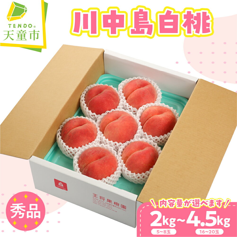 【ふるさと納税】もも ( 川中島白桃 ) 選べる 2kg / 4.5kg 秀品 令和8年産 先行予約 2026年 山形県産 桃 白桃 果物 フルーツ のし 贈答 ギフト おすそ分け 期間限定 冷蔵便 送料無料 産地直送 お取り寄せ 【 山形県 天童市 】