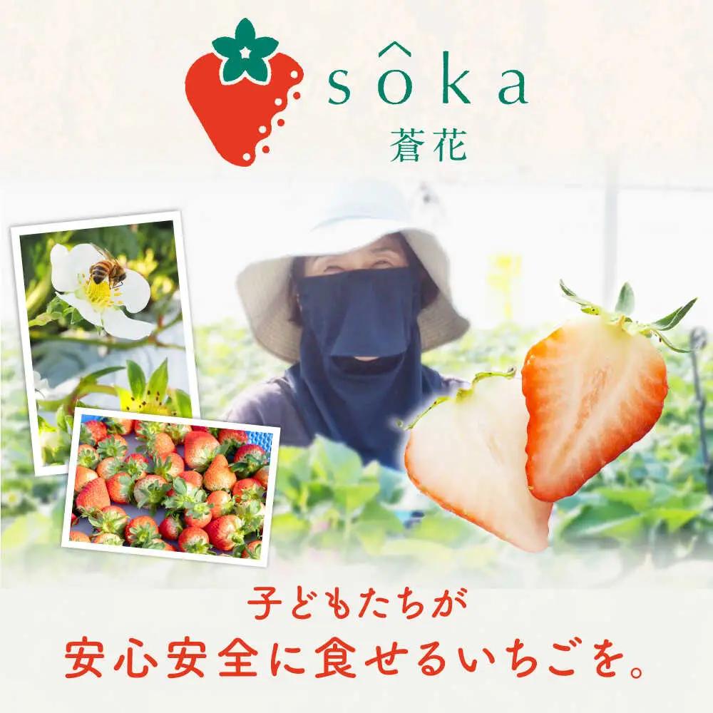 【先行予約】いちごセット（ゆめのか・恋みのり） [JEO001] 