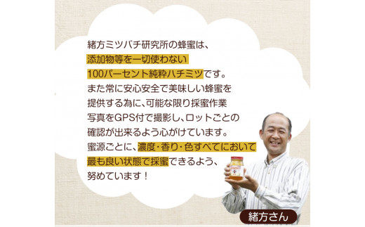 熊本県御船町産 純粋はちみつ600g 御船町観光協会 《30日以内に出荷予定(土日祝除く)》---sm_mkhoneyn_30d_23_12500_600g---