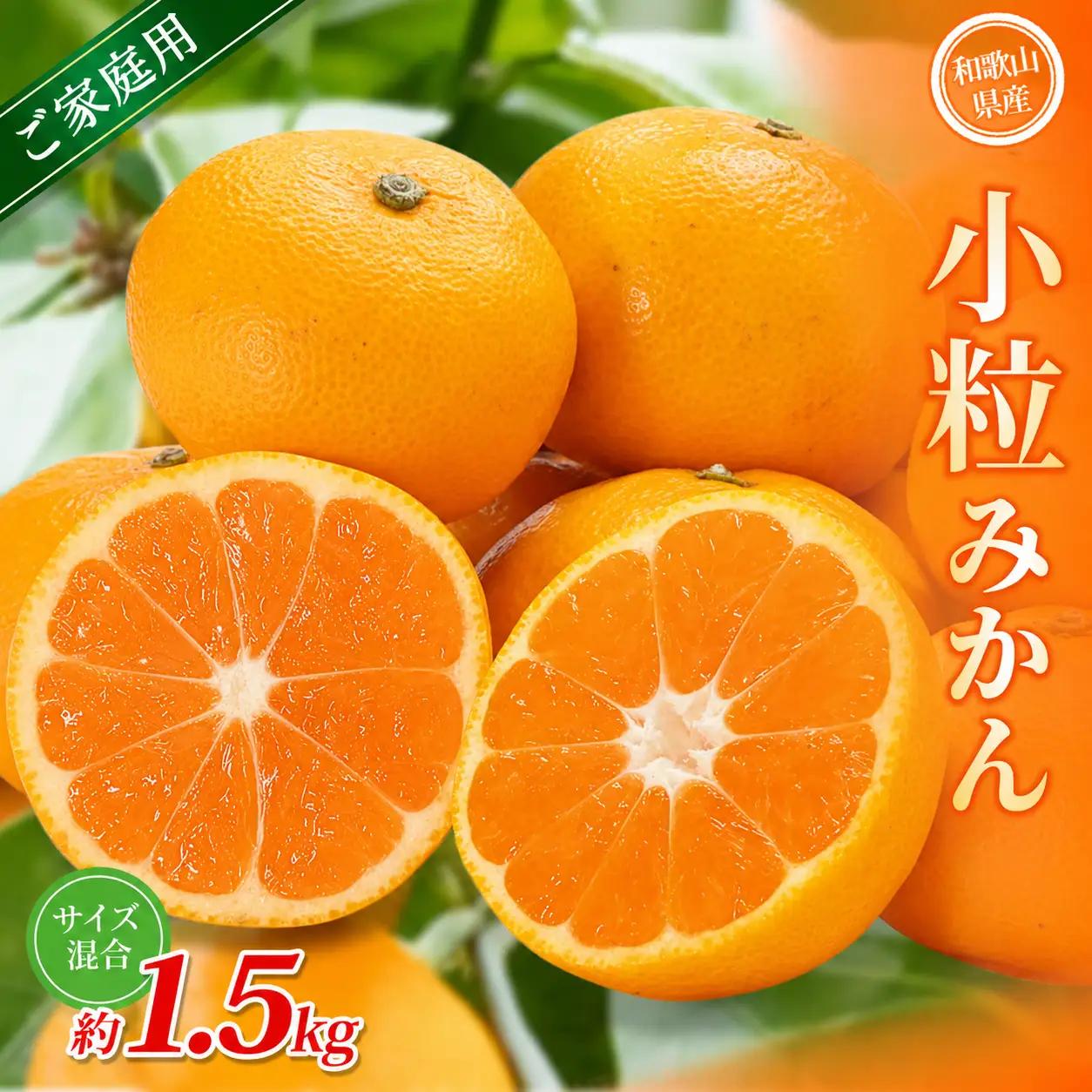 小粒みかん 約1.5kg【家庭用】 森本農園の手選別  和歌山県産 【BV-mrmt060】