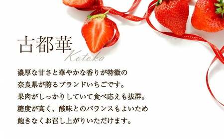 いちご 古都華 約250g×2パック【2026年1月～発送予定】