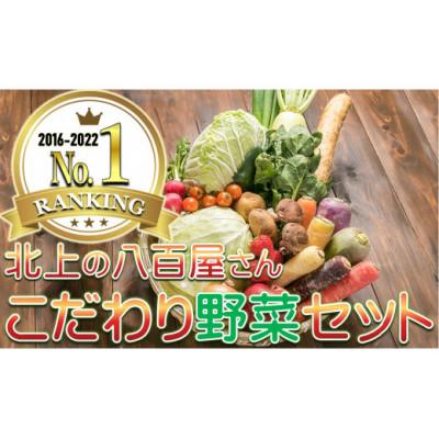 ふるさと納税 北上市 【8年連続1位】野菜セットA 7品 以上
