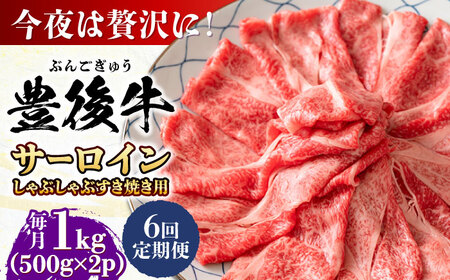 【全6回定期便】【厳選部位】おおいた豊後牛 サーロイン しゃぶしゃぶすき焼き用 1kg (500g×2P)/しゃぶしゃぶ しゃぶしゃぶ しゃぶしゃぶ しゃぶしゃぶ しゃぶしゃぶ しゃぶしゃぶ / 日田市 / 株式会社MEAT PLUS[AREI090]