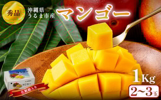沖縄県 うるま市産 完熟 マンゴー 秀品 1kg【2025年発送】