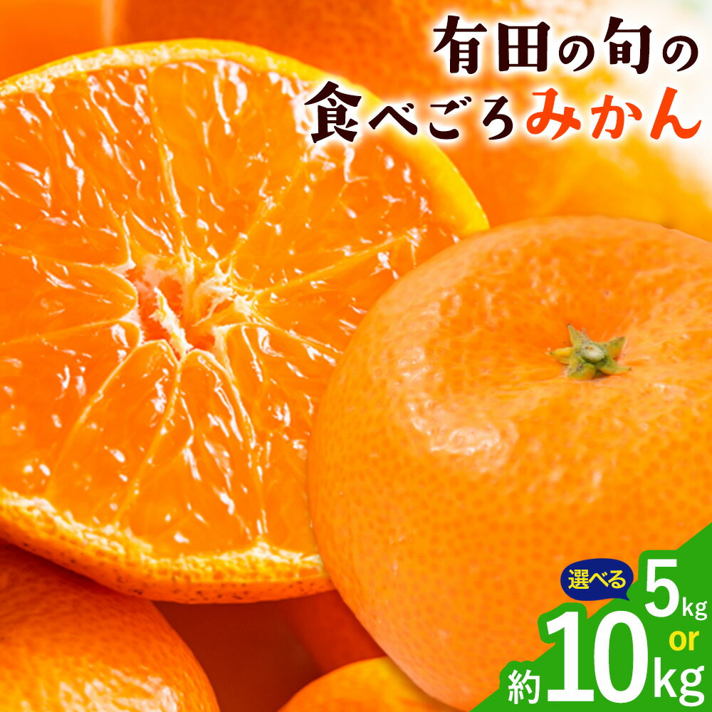 【ふるさと納税】「農園直送」有田の旬の食べごろ みかん 選べる内容量 約5kg 約10kg (サイズ混合・秀優混合) 厳選館《11月中旬-1月中頃出荷》 和歌山県 日高町 みかん 温州みかん 柑橘 フルーツ 有田みかん 有田 みかん 有田ミカン 有田蜜柑
