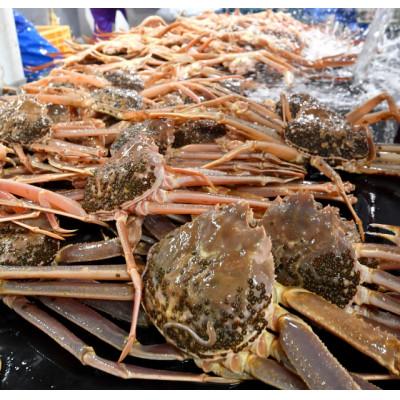 ふるさと納税 若桜町 【魚倉】訳あり生松葉ガニ2枚セット(1枚700g以上) |  | 01