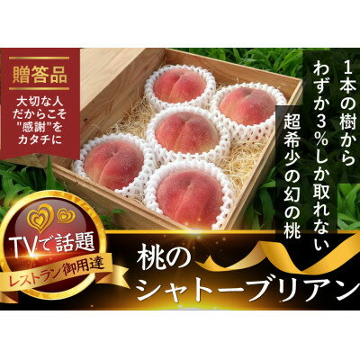 【ふるさと納税】【お家で一流レストラン御用達】桃通を唸らせる『幻のシャトーブリアン桃』2026年8月下旬より順次発送【配送不可地域：離島・北海道・沖縄県・中国・四国・九州】【1676994】