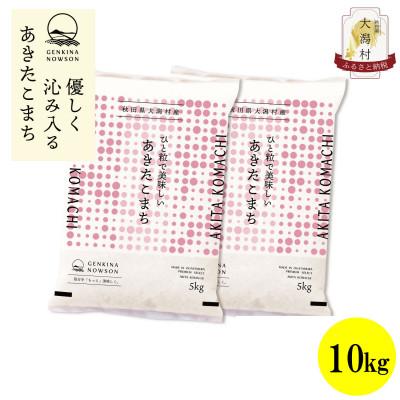 ふるさと納税 大潟村 【毎月定期便】秋田県産あきたこまち白米10kg(5kg×2)全6回