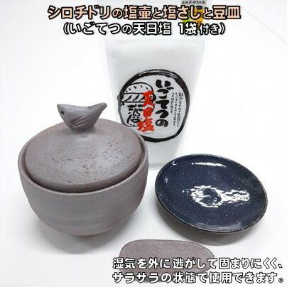 【ふるさと納税】 シオチドリ の 塩壷 塩さじ 豆皿 天日塩 1袋 付き 日常屋 食器 皿 さら さじ 調味料入れ ツボ つぼ 壷 塩 調味料 保存容器 陶器 高知県 高知県 黒潮町