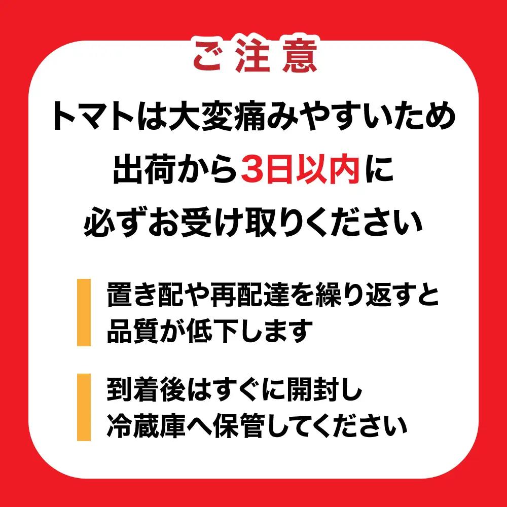 【1月～8月】訳あり 中玉 トマト 約3.5kg×2箱 | 訳あり トマト 中玉トマト 3.5kg 2箱 産地直送 野菜 国産 福島県 いわき産 とまと 数量限定 規格外 不揃い フレッシュ ジューシ