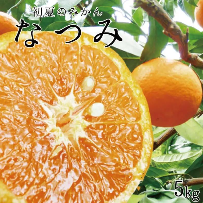 初夏のみかん　なつみ5kg【予約】※2027年4月中旬頃〜2027年4月末頃に順次発送予定(お届け日指定不可)【uot501-2】