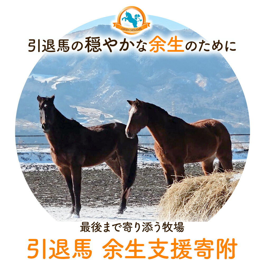 【ふるさと納税】【返礼品なし】引退馬余生支援寄附 一般社団法人オープンセサミアライブ 熊本県 南阿蘇村 馬 ウマ 支援 競走馬 引退馬 生活支援 動物愛護 保護 返礼品なし 寄附 牧場 オープンセサミ アニマルサンクチュアリ