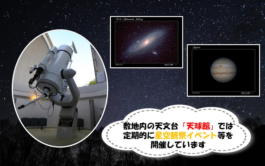 ペット同泊専用ロッジあり！ 梅園の里 ロッジ 一泊朝食付き ペア宿泊券_2570R