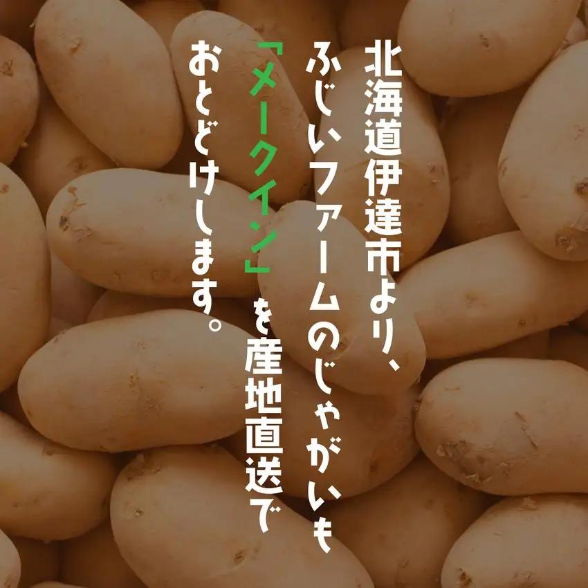 ＜先行予約＞北海道産 じゃがいも(メークイン) 約5kg【55250841】