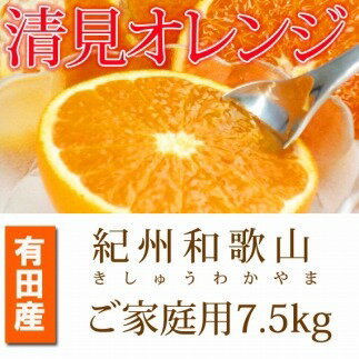【ふるさと納税】［ご家庭用訳アリ］紀州有田産清見オレンジ　7.5kg［2026年3月下旬以降発送］［先行予約］［UT54］ | 和歌山 上富田町 お取り寄せ ご当地 お土産 清見オレンジ 清見 オレンジ みかん ミカン 特産品 名産品 果物 くだもの フルーツ 柑橘