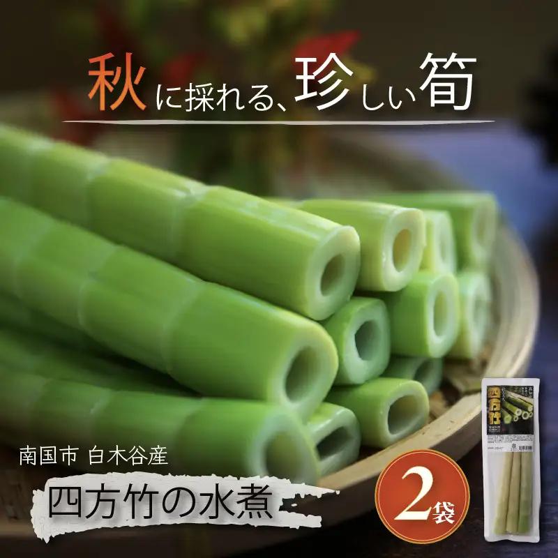 【8月まで 受付限定】 国産 四方竹 水煮 120g × 2袋 (2026年11月～発送) | 国産 シホウチク 筍 たけのこ 特産 珍味 希少 高知 南国市