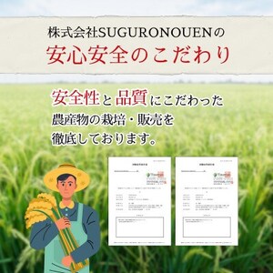 令和7年産　特別栽培米コシヒカリ　10kg(5kg×2袋)【1695258】