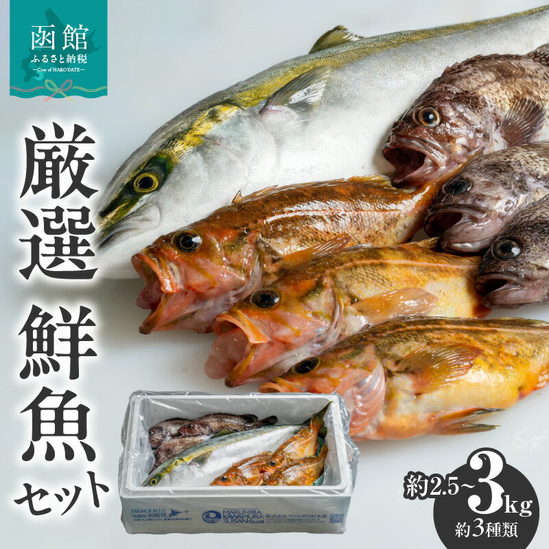 【ふるさと納税】【函館産】 厳選 鮮魚セット
