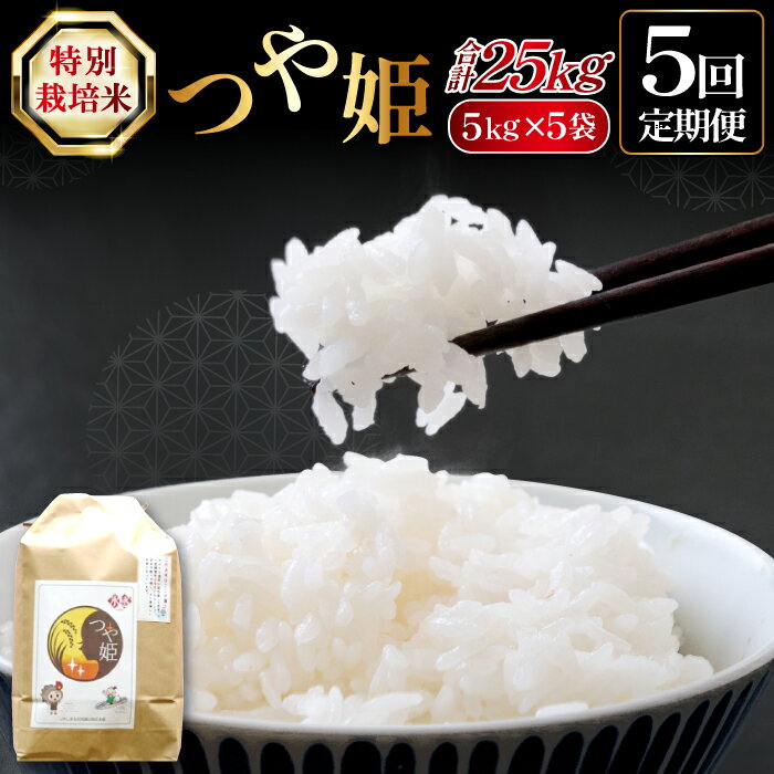 【ふるさと納税】 【5回定期便】 氷感熟成 つや姫 5kg×5回お届け 合計25kg 米 特別栽培米 石見銀山氷感つや姫 減農薬 減化学肥料 ご飯 ごはん 朝食 お弁当 おにぎり 国産 島根県産 大田市産 特産品 お取り寄せ