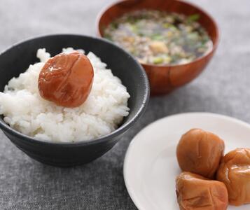 紀州南高梅　つぶれ梅300g×4