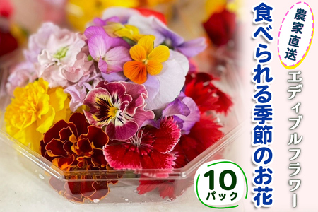農家直送！加藤さんちのエディブルフラワー 10パック (1パックあたり季節のお花15輪から30輪)｜食用 花 お花 野菜 トッピング 付け合わせ [0765]