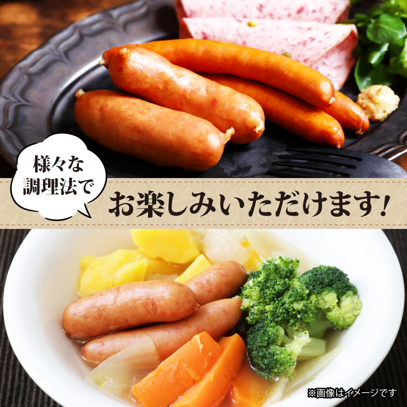 ソーセージ パストラミ 焼豚 6種 詰合せセット 1080g 無塩せき 国産 添加物 不使用 豚肉 ぶたにく 豚 ぶた ポーク ロース 挽き肉 ひきにく ミンチ ウィンナー 粗挽き 燻製 阿波美豚 ブ