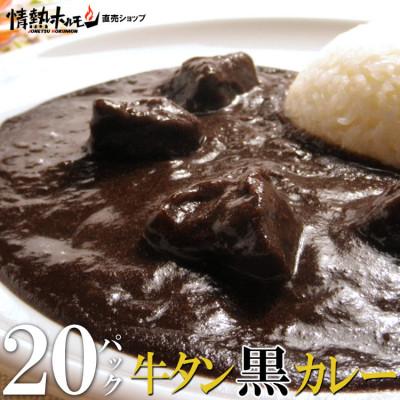 ふるさと納税 泉南市 ●牛タン黒カレー(200g×20パック)